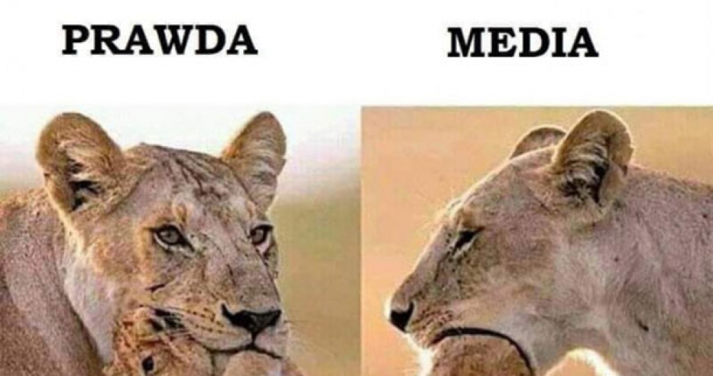 Prawda vs media 