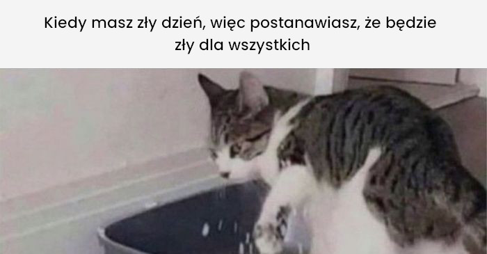 Kiedy twój dzień jest zły więc