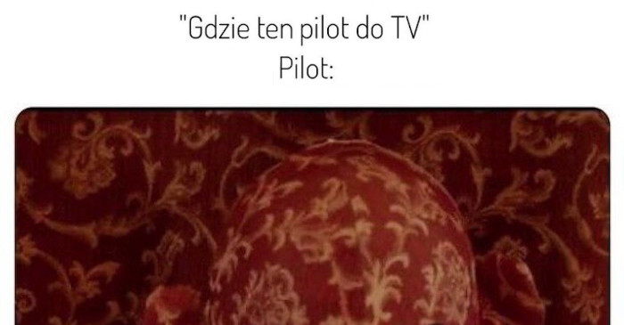 Cecha każdego pilota do TV