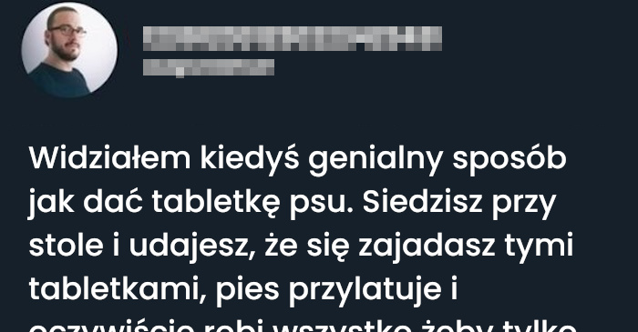 Genialny sposób na podanie tabletki psu