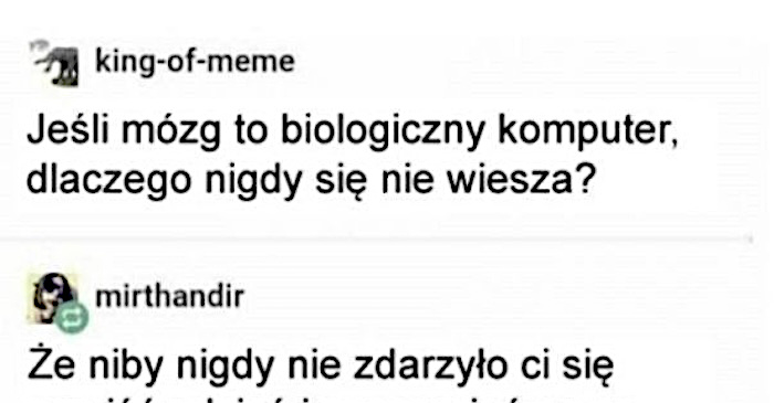 Rozkminka na temat ludzkiego mózgu