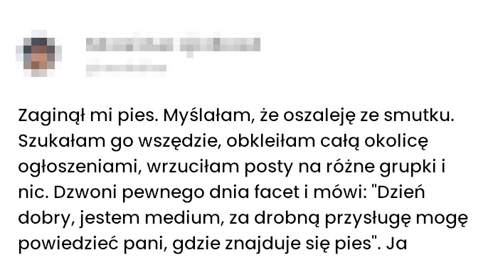 Jak Kefir i Ziemniaki pomogły mi odnaleźć psa