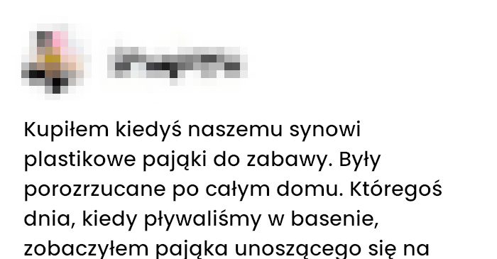 Gdy Pająk z plastiku okazuje się prawdziwy