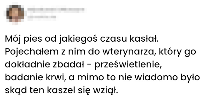 Jak pies nauczył się kaszleć