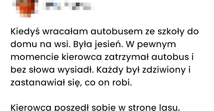 Tajemniczy postój w drodze przez las