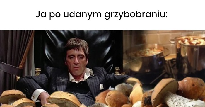 To uczucie po udanym grzybobraniu