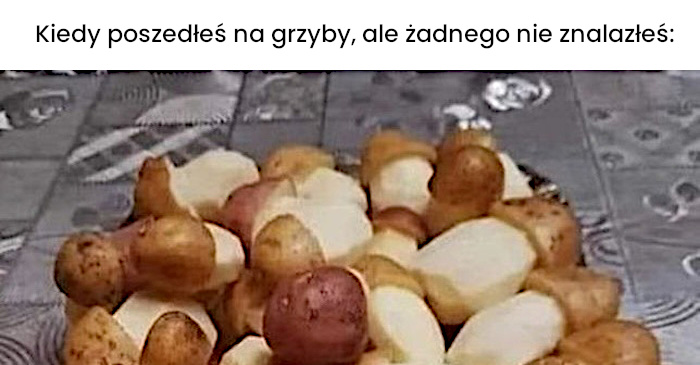 Gdy grzybów nie było