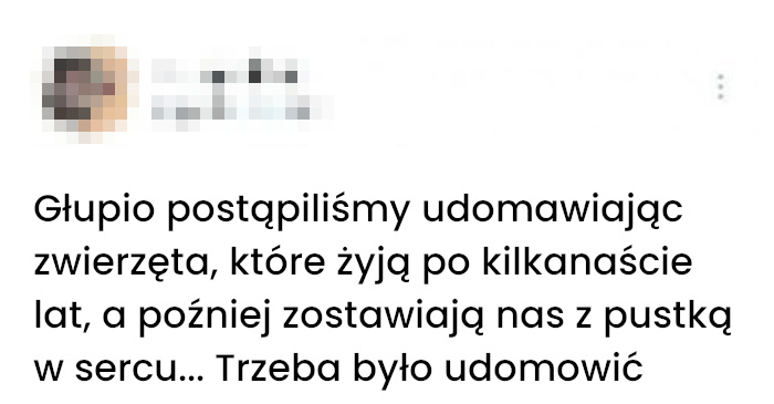 Alternatywa zwierząt domowych