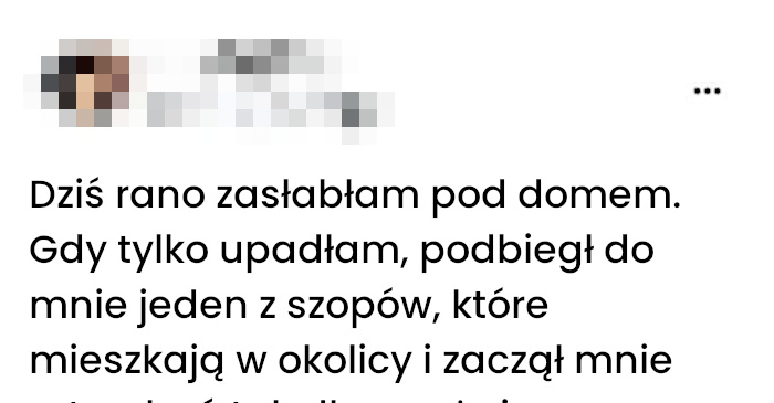 Poranne spotkanie z opiekunem w futrze