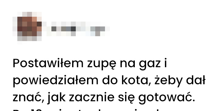 Koci strażnik kuchenny