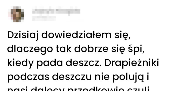 Dlaczego deszcz przynosi spokój