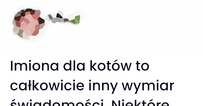 Jak nazwałem swojego kota i dlaczego wszyscy się śmieją