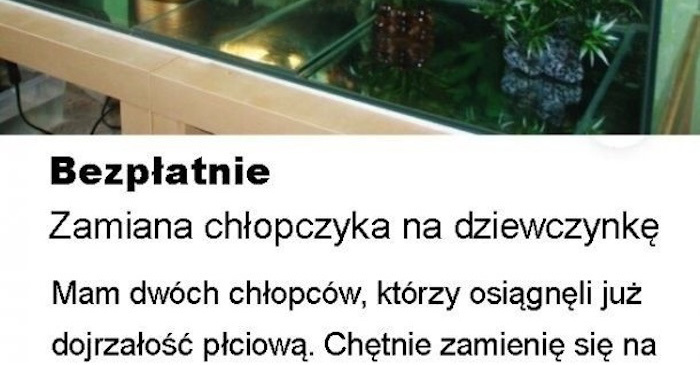 Jedno z dziwniejszych ogłoszeń